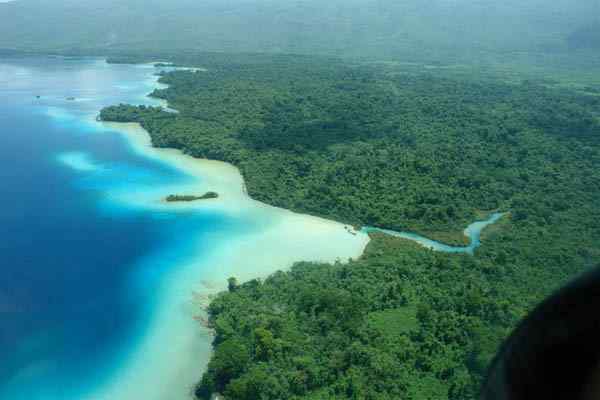 Tropische jungle in Mexico -kenmerken, locatie, reliëf, flora, fauna