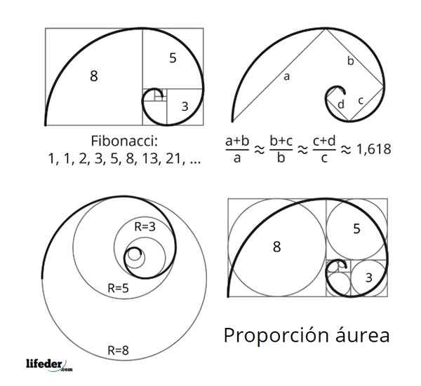 Vlastnosti série Fibonacci, prirodzené vzťahy, aplikácie