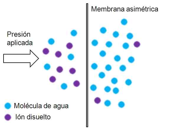 Osmose inversée comment cela fonctionne, à quoi sert-il, exemples