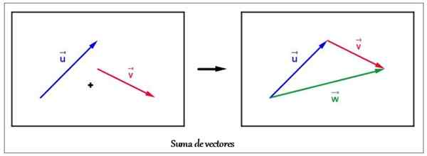 Método gráfico da soma de vetores, exemplos, exercícios resolvidos