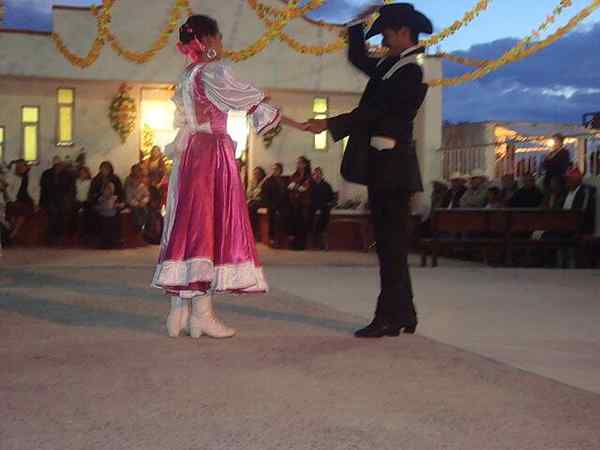 Caratteristiche principali tipiche dei costumi di chihuahua