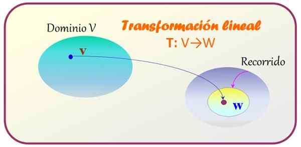 Propriétés de transformations linéaires, quels sont les types d'utilisation, les types, les exemples