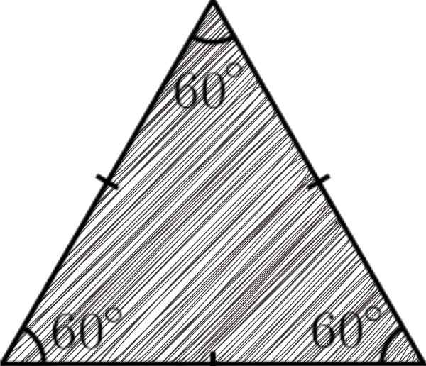 Caractéristiques du triangle Balacket, propriétés, formules, zone