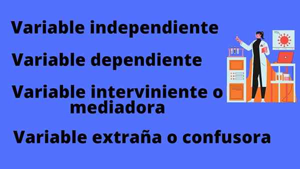 Variáveis ​​de pesquisa tipos, características e exemplos