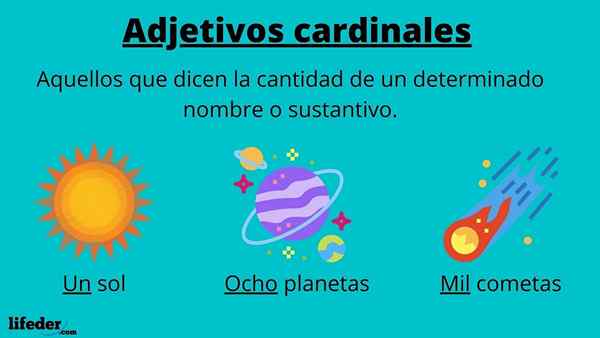 Adjectifs cardinaux