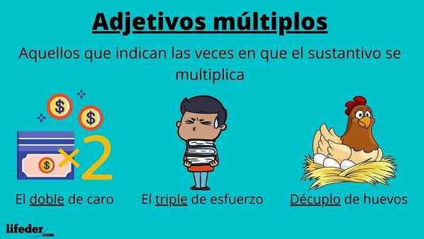 Multiples Adjektive