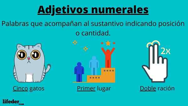 Aggettivi numerici