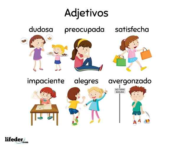 Adjectifs