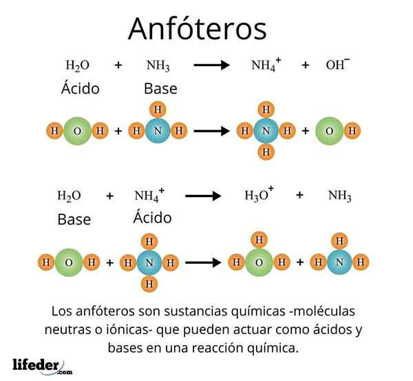 Amphoters, typy i przykłady