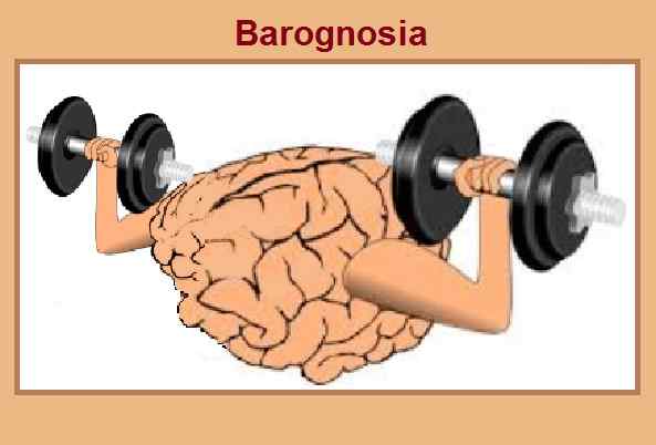 Baragonnosia Origin, Concept, Test, gerelateerde aandoeningen