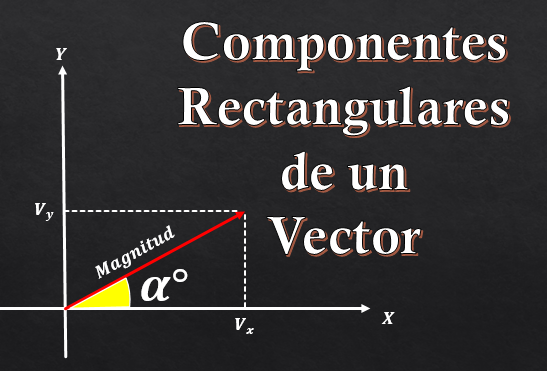 Composants rectangulaires d'un vecteur (avec des exercices)