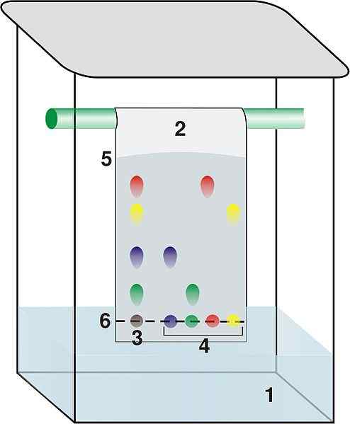 Caratteristiche cromatografiche a strati fine, a cosa serve