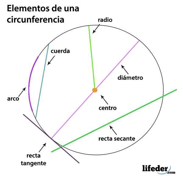 Quais são os 7 elementos da circunferência?