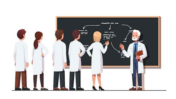 Methodologische ontwerpstructuur, hoe het te doen, voorbeeld