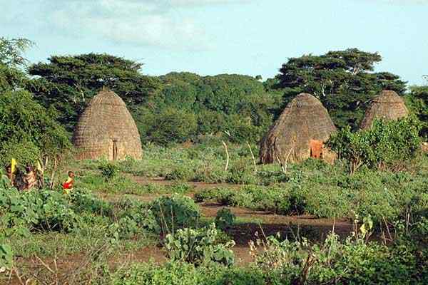 Características da ecologia cultural, teorias, importância