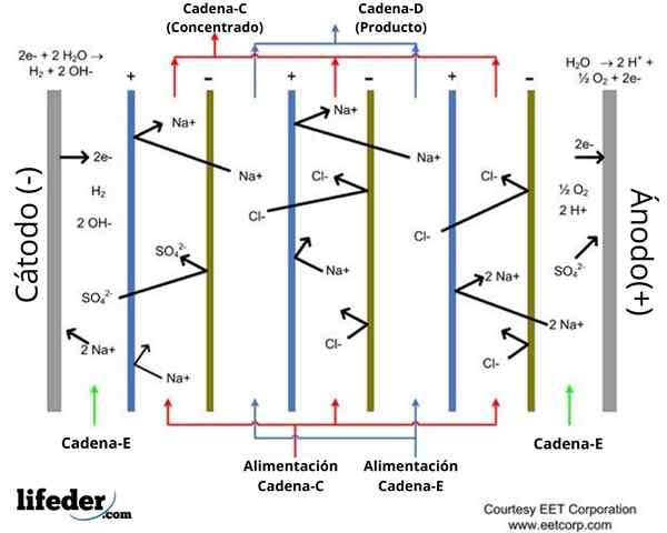 Electrodialysis Bagaimana Kerja, Kelebihan, Kekurangan, Kegunaan