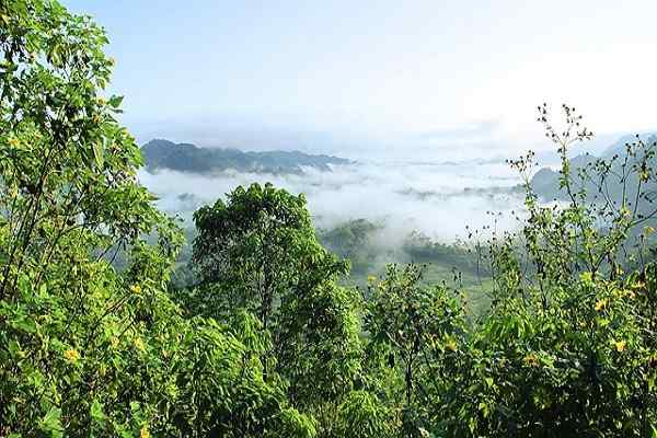 Caratteristiche dell'ambiente naturale, elementi, importanza, esempi