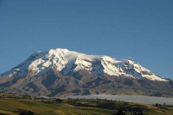 Flora dan Fauna Spesies Wakil Sierra Ecuador