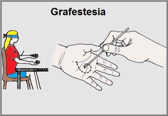 Origine, concetto, disturbi correlati