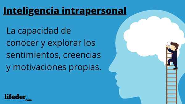 Características de inteligência intrapessoal, habilidades, exemplos