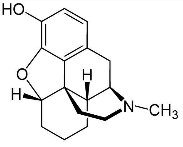 Características de Krokodil, Efeitos, Tratamento, Prevenção