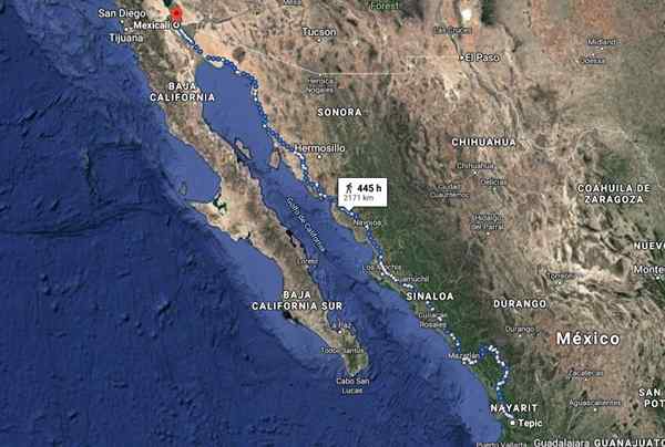 Pacific Coastal Plain Hydrology, pogoda, flora, fauna