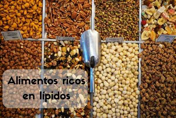 Les 12 aliments les plus riches en lipides (graisses saines)