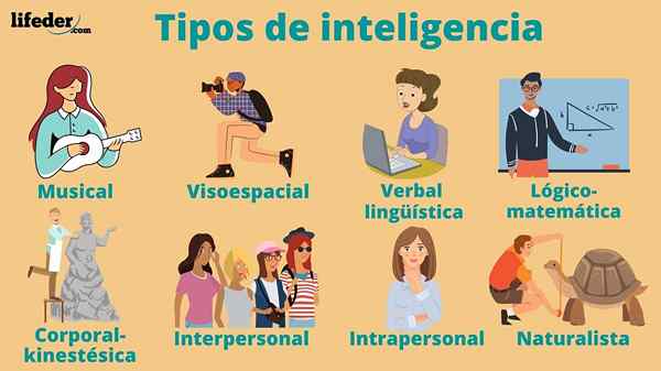 Os 8 tipos de inteligência e como identificá -los