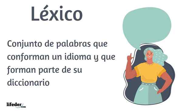 Conceito de léxico, recursos, tipos, exemplos