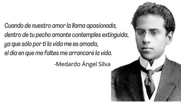 Medardo Ángel Silva Biographie und Werke