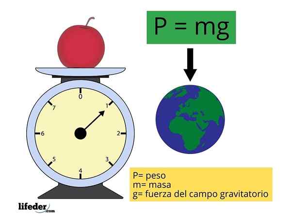 Pengiraan Berat (Fizikal), Unit, Contoh, Latihan