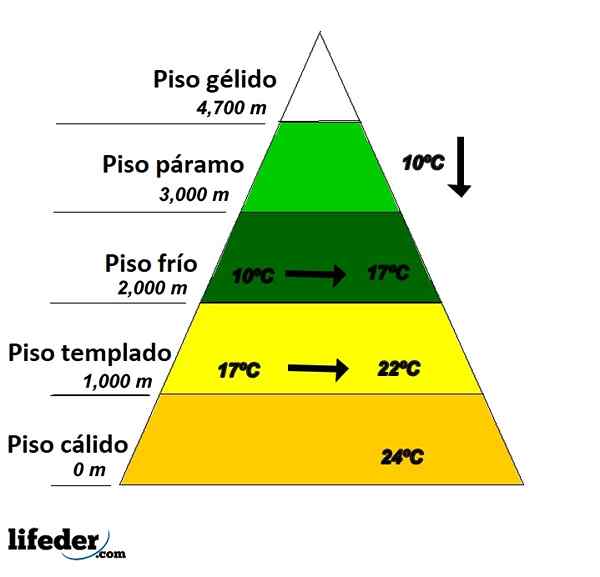 Piatti termici caratteristici e come cambiano con altitudine