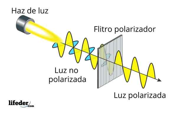 Kevyet polarisaatiotyypit, esimerkit, sovellukset