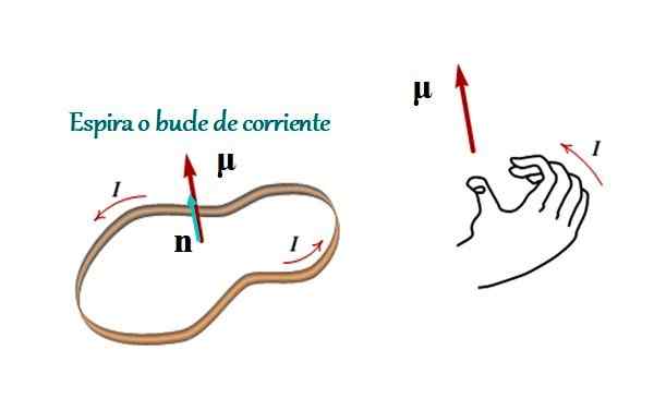 Qual è il momento magnetico?