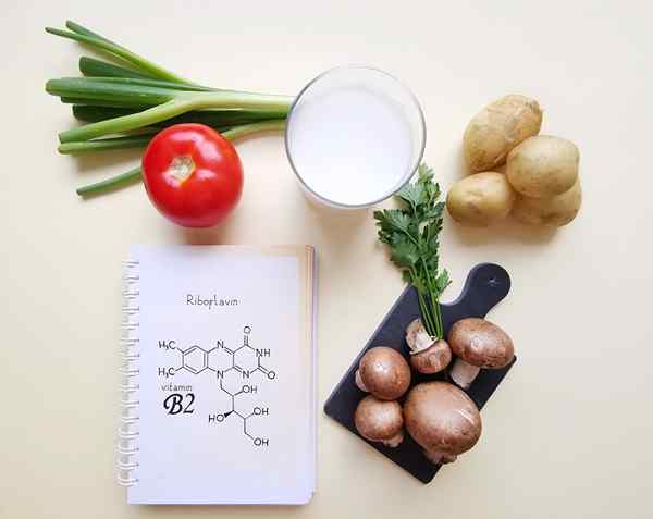 Food Chemistry Study of Study, Elements, Applications