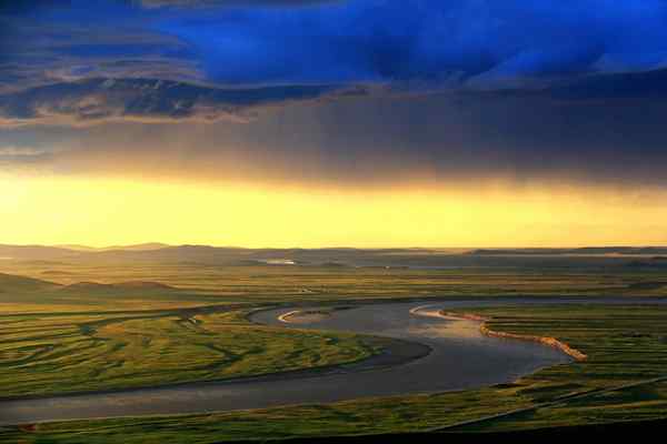 Yellow River Birth, Tour, Mouth, Flora