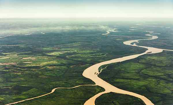 Amazonas River -egenskaper, födelse, turné, flora, fauna