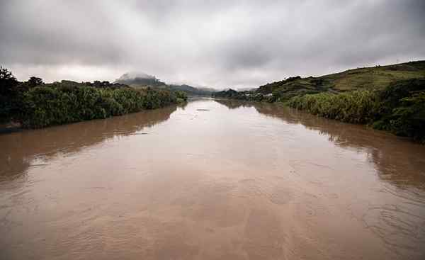 Tour Río Cauca, prítoky, charakteristiky, flóra