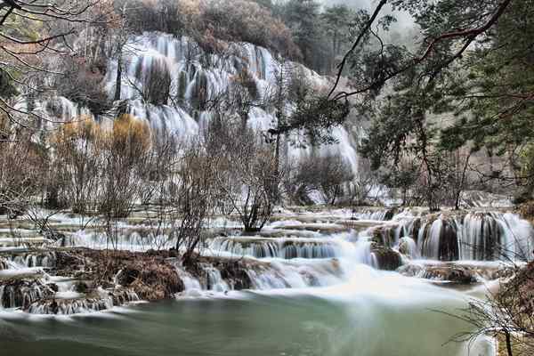 Río Cuervo Geburts, Tour, Wiedererlangung, Flora und Fauna