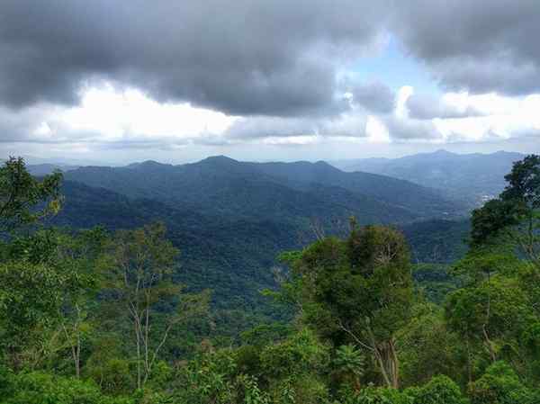 Sierra Madre del Sur Posizione, sollievo, clima, flora