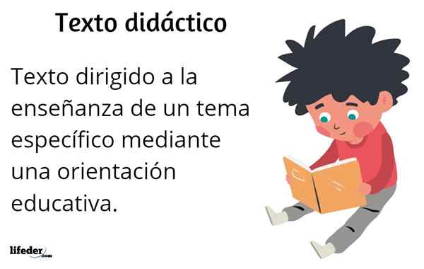 Características de texto didáticas, estrutura, tipos e exemplos