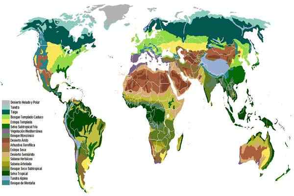 Soorten ecosystemen en hun kenmerken