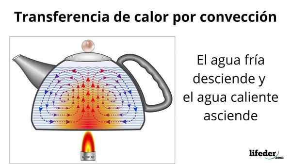 Trasferimento di calore convezione (con esempi)