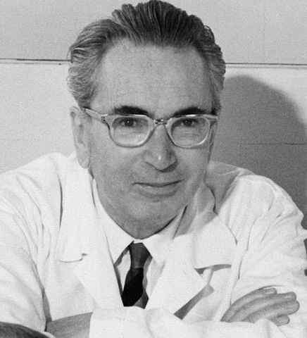 Viktor Frankl Biography, logotherapie, bijdragen