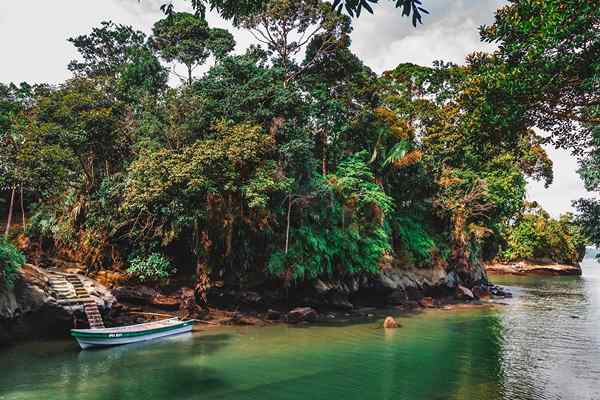 10 tullar i den fredliga regionen i Colombia