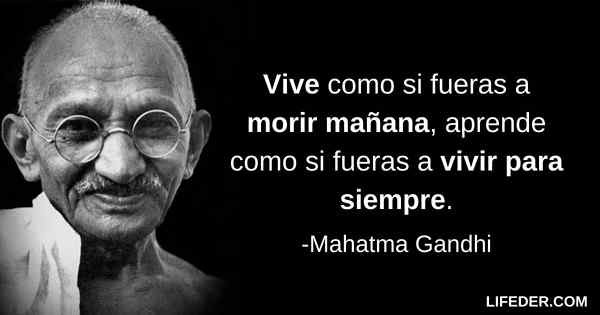 +100 phrases Gandhi sur la vie, la paix, l'amitié et plus