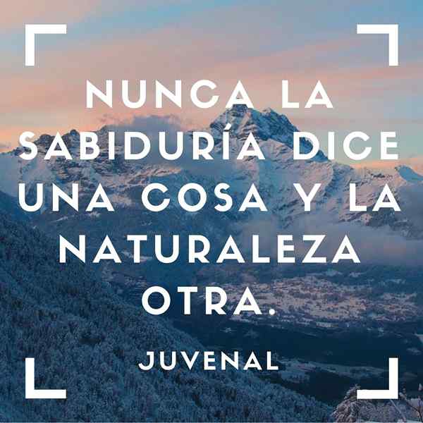 100+ frases da natureza