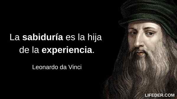 100+ fraser av Leonardo da Vinci om konst och liv