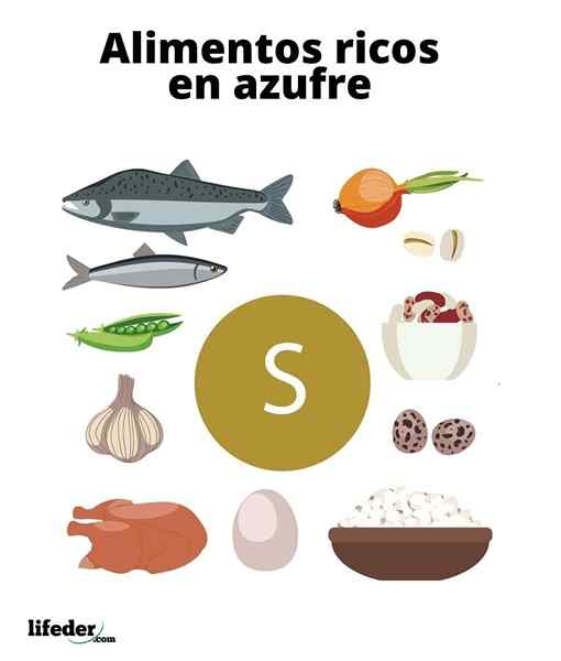 24 bons aliments de soufre pour votre santé