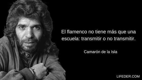 47 frases de flamenco